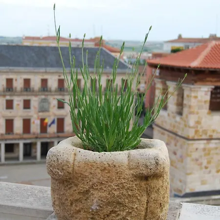 El Mirador De * Zamora