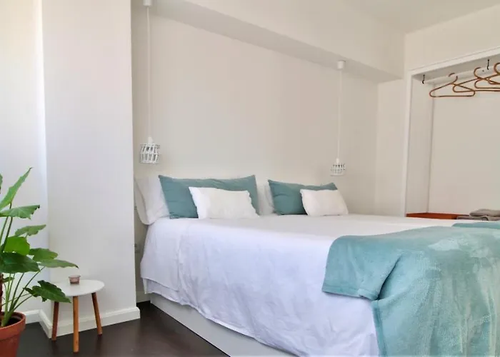 El Mirador De Zamora