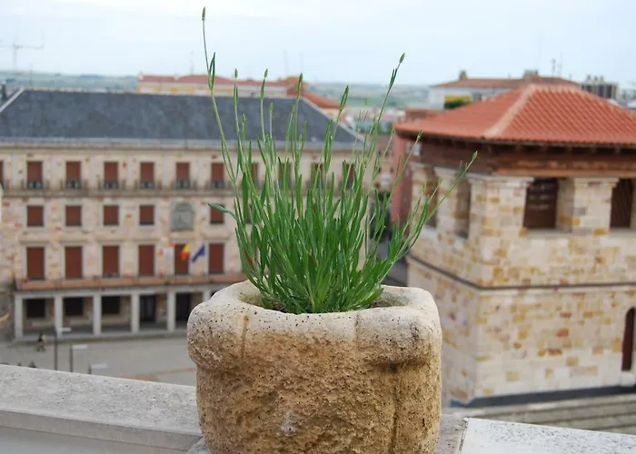 El Mirador De * Zamora